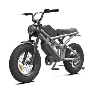 1000w Electric Scooter for sale wholesale price
