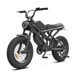 16 Inch Electric Bike for sale wholesale price