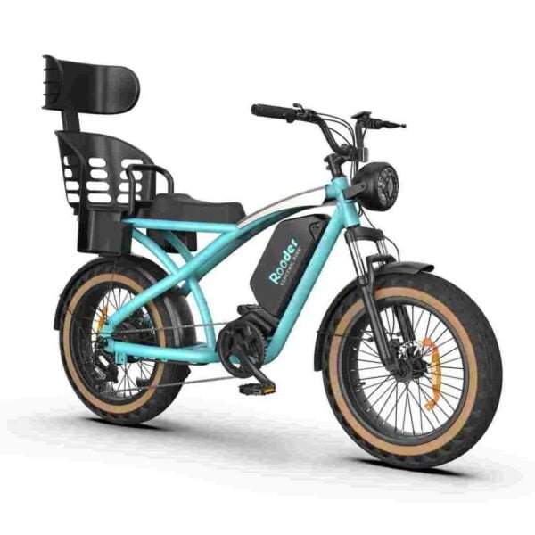 Affordable Fat Tire Electric Bike for sale wholesale price