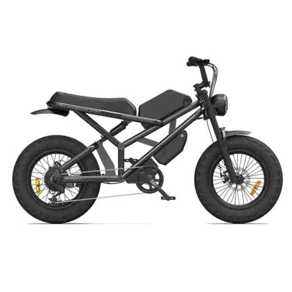 Affordable Folding Electric Bike for sale wholesale price