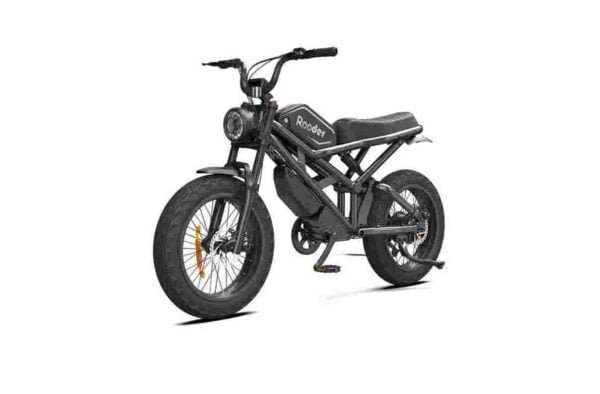 Best 20 Inch Folding Electric Bike for sale wholesale price