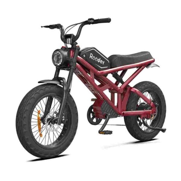 Best Electric Bike With Fat Tires for sale wholesale price