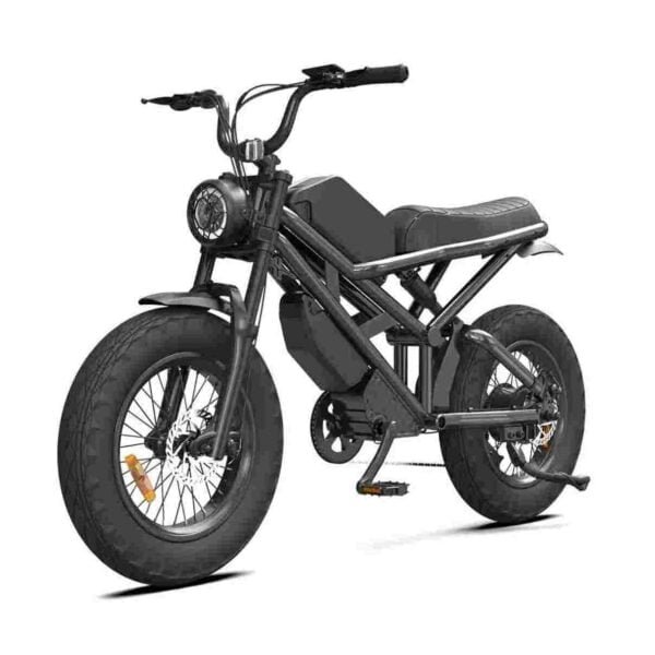 Citycoco Electric Bike for sale wholesale price