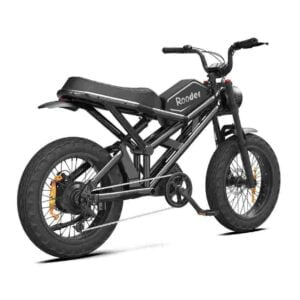 E Bike Price for sale wholesale price