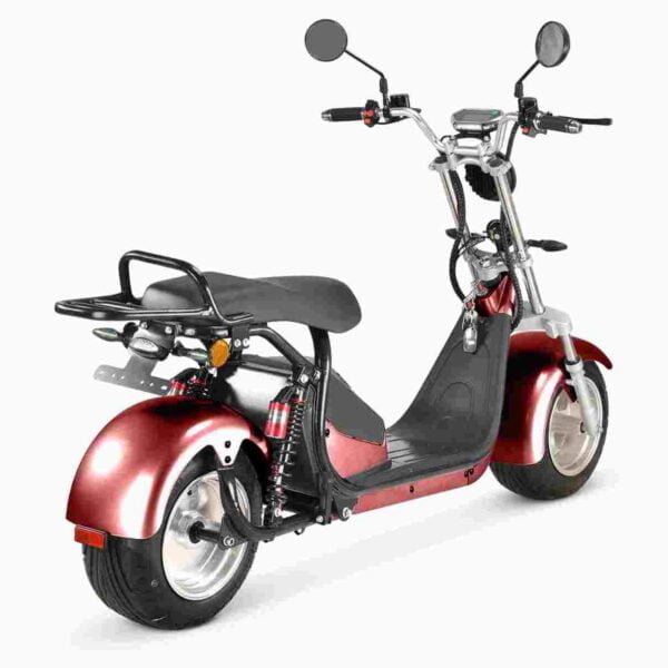 Ebike Snow for sale wholesale price