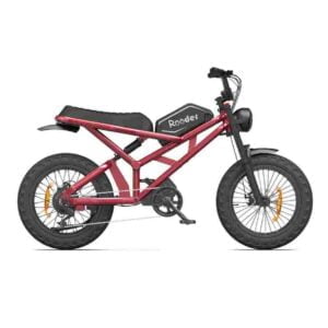 Ebikes Folding for sale wholesale price