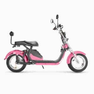 Electric Bike Manufacturer for sale wholesale price