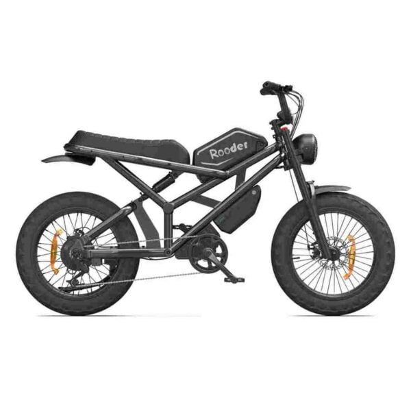 Electric Bike Speed for sale wholesale price