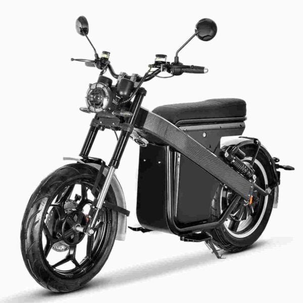 Electric Bike Thick Tires for sale wholesale price