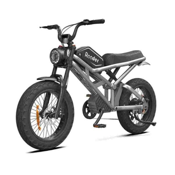 Electric Bike With Thick Tires for sale wholesale price
