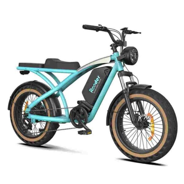 Electric Bikes Direct for sale wholesale price