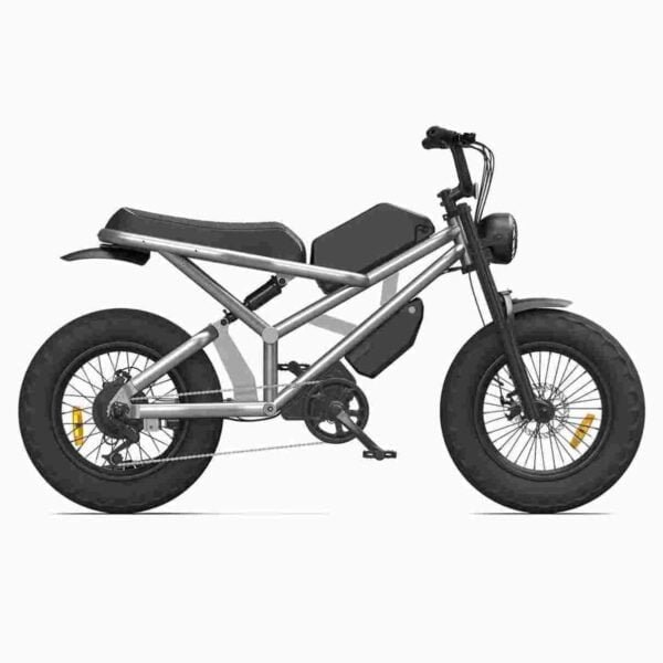Fast Electric Bike for sale wholesale price
