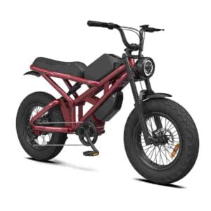 Fastest Foldable Ebike for sale wholesale price