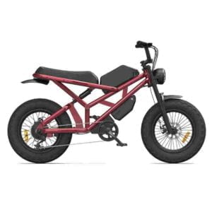 Fastest Portable Electric Bike for sale wholesale price