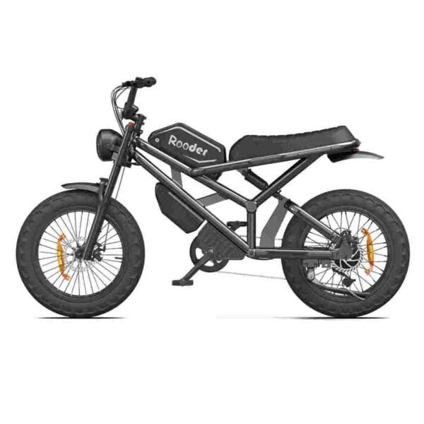 Fat Bike Electric Cycle for sale wholesale price