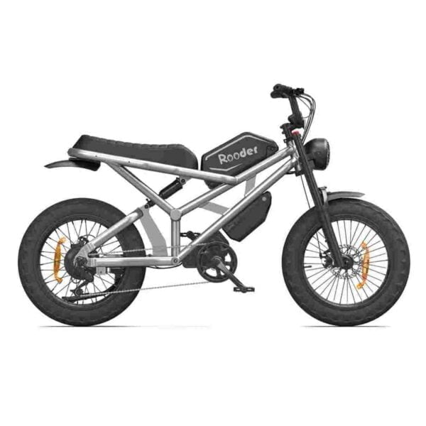 Fat Tire Ebike for sale wholesale price