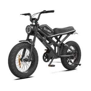 Fat Tire Electric Cycle for sale wholesale price