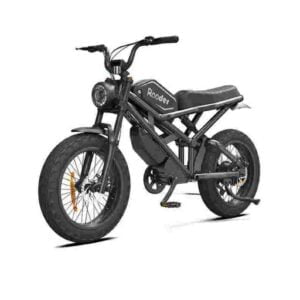 Foldable Electric Bike Adults for sale wholesale price