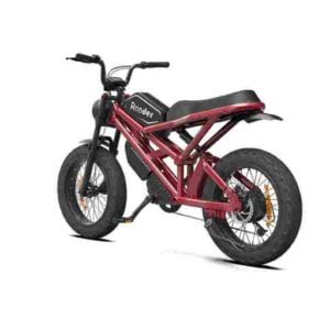 Folding Pedal Assist Bike for sale wholesale price