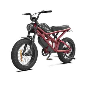 Italian Electric Bike for sale wholesale price