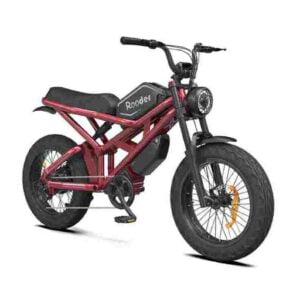 Light Foldable Ebike for sale wholesale price