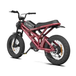 Powerful Electric Bike for sale wholesale price
