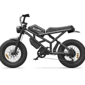 Super Eco Electric Scooter for sale wholesale price