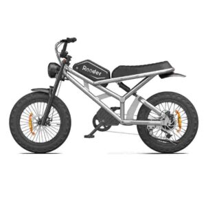Women’s Electric Fat Tire Bike for sale wholesale price