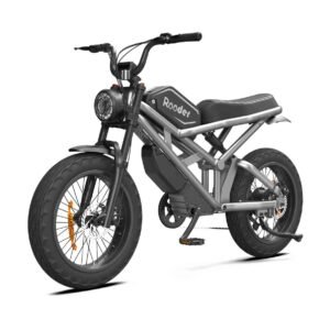 mocha electric bike 750w 35ah for sale